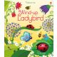 Usborne: Wind-Up Ladybird