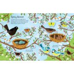 Usborne: First Sticker Book - Seasons
