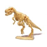 BUKI Dínó csontváz felfedező készlet T-Rex BUKI