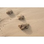 Little Dutch homokozó formák és lapát szett kék