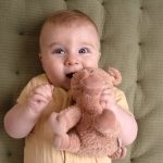 Little Dutch Plüss malac 17 cm